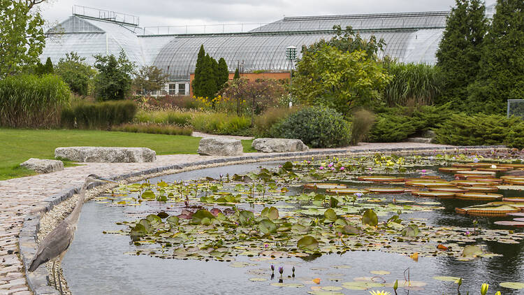 Garfield Park Conservatory Garfield Park Conservatory