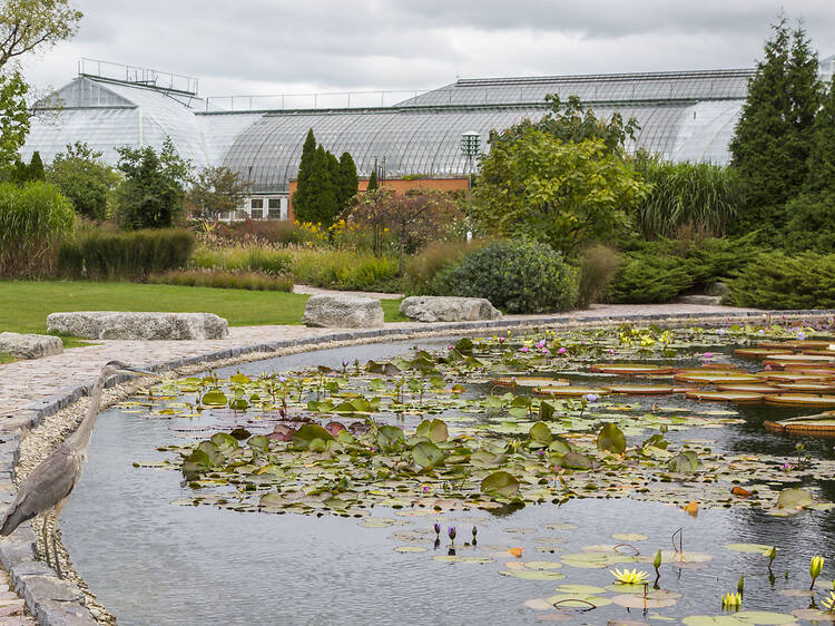 Garfield Park Conservatory Garfield Park Conservatory