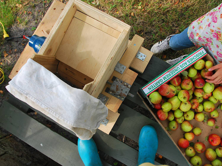 Cider mills NYC