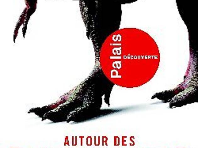 Autour des dinosaures Autour des dinosaures