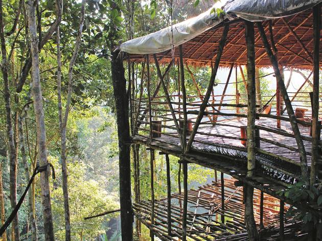 Terra Tree House (Cameron Highlands, Pahang) Terra Tree House (Cameron Highlands, Pahang)