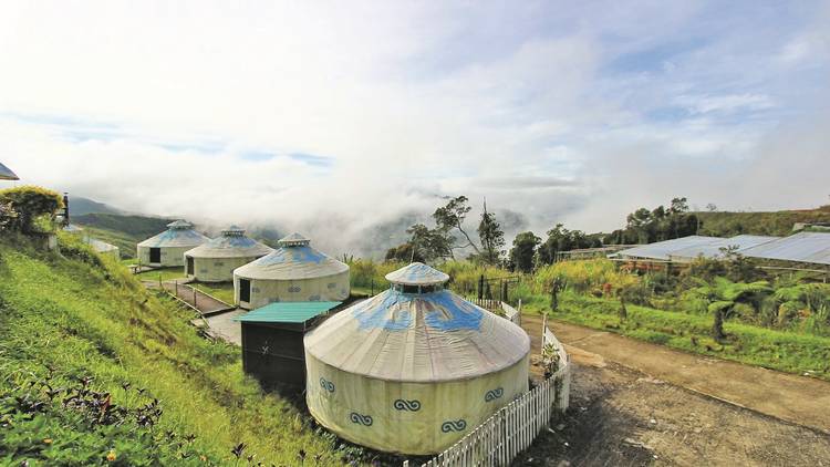 Mongolian Yurt (Kundasang, Sabah)