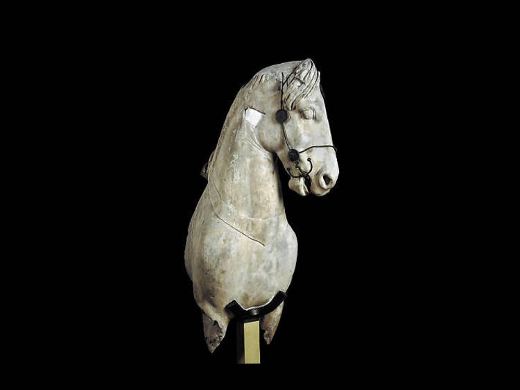 Colossal horse from Halikarnassos