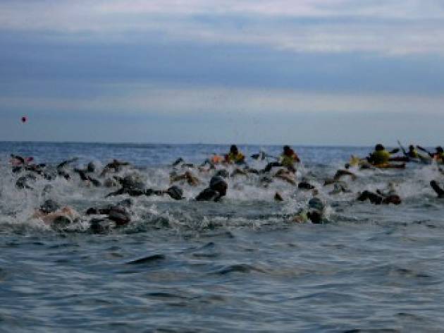 Sea Swimming in Barcelona Sea Swimming in Barcelona