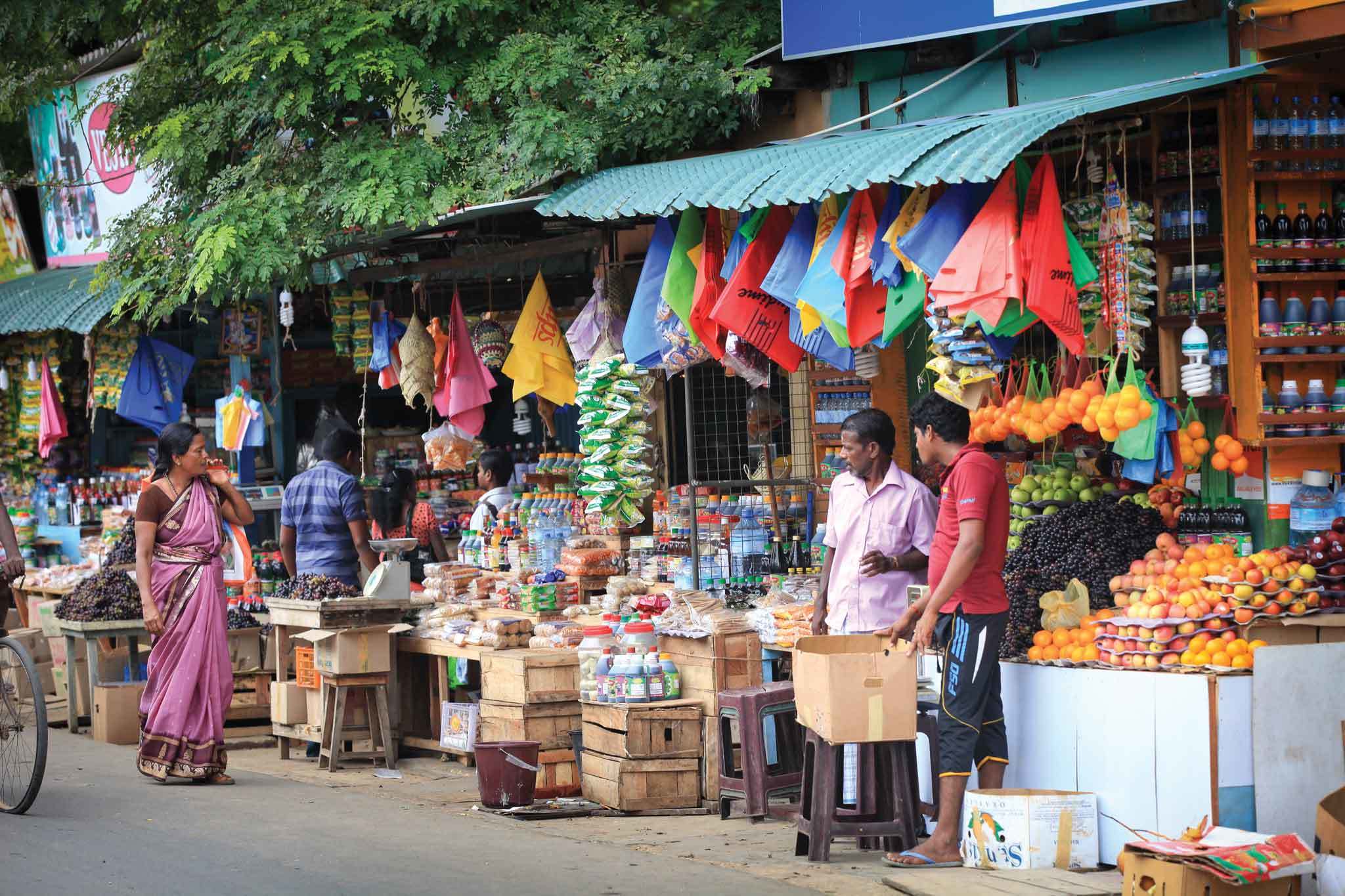 Travel to Jaffna on your visit to Sri Lanka