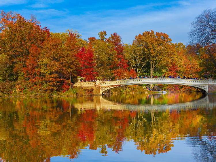 Bow Bridge in Central Park