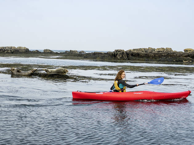 Kayaking in Dalkey Kayaking in Dalkey