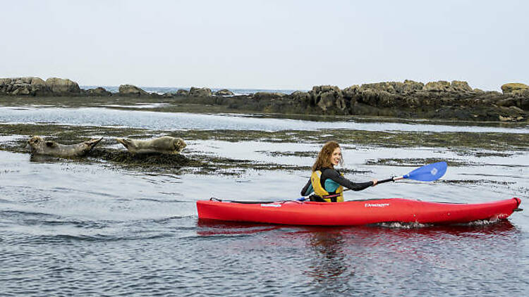 Kayaking in Dalkey