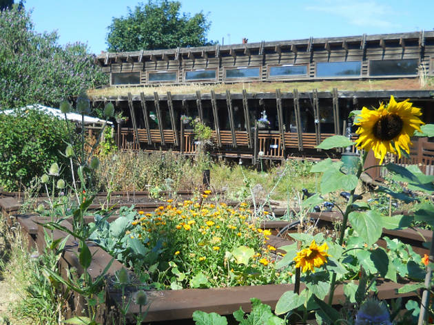 Centre For Wildlife Gardening Attractions In Peckham London