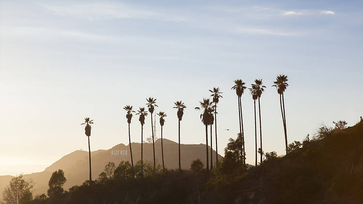 hollywood, griffith park