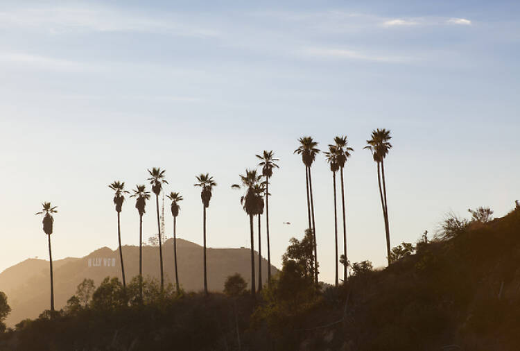 #2: Eight ways to be a stereotypical Angeleno