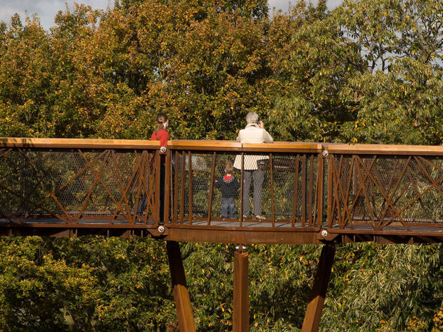 Tree Top Walkway at Kew Gardens Tree Top Walkway at Kew Gardens