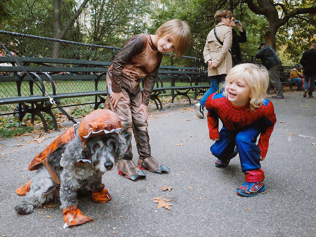 Tompkins Square Park Halloween Dog Parade 2015 photo: Aaron Berger (@aaronbergerfoto)