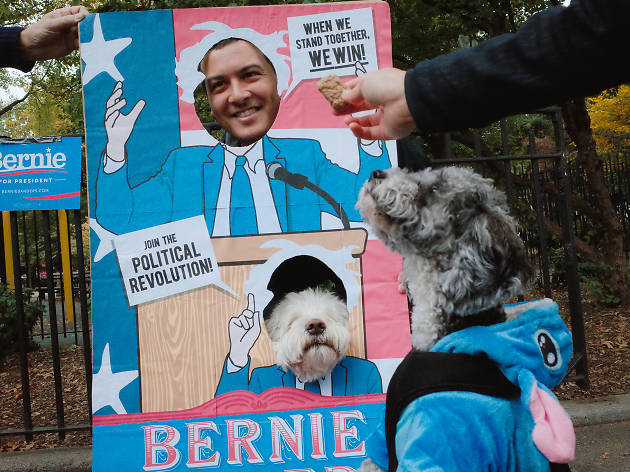 Tompkins Square Park Halloween Dog Parade 2015 photo: Aaron Berger (@aaronbergerfoto)