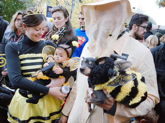 Tompkins Square Park Halloween Dog Parade 2015 photo: Aaron Berger (@aaronbergerfoto)