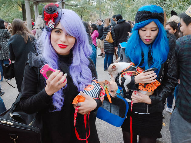Tompkins Square Park Halloween Dog Parade 2015 photo: Aaron Berger (@aaronbergerfoto)
