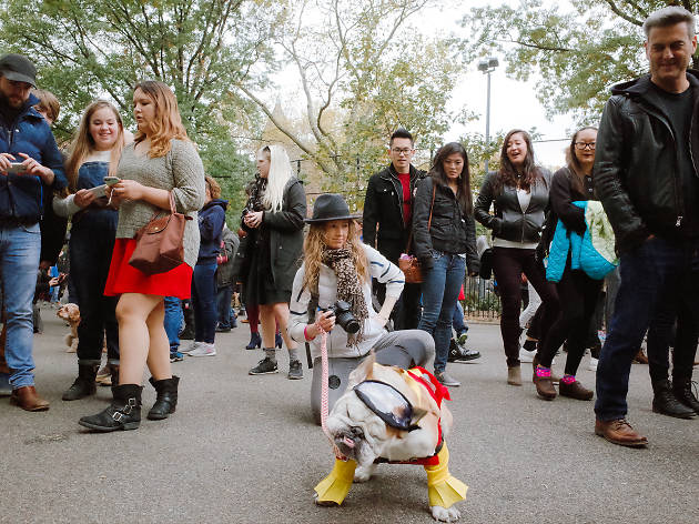 Tompkins Square Park Halloween Dog Parade 2015 photo: Aaron Berger (@aaronbergerfoto)