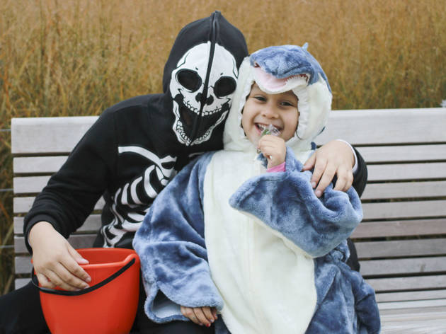 The first annual Halloween Gathering attracted a crowd of all ages with an Art and Halloween Festival and parade in and around Millennium Park on October 24, 2015.