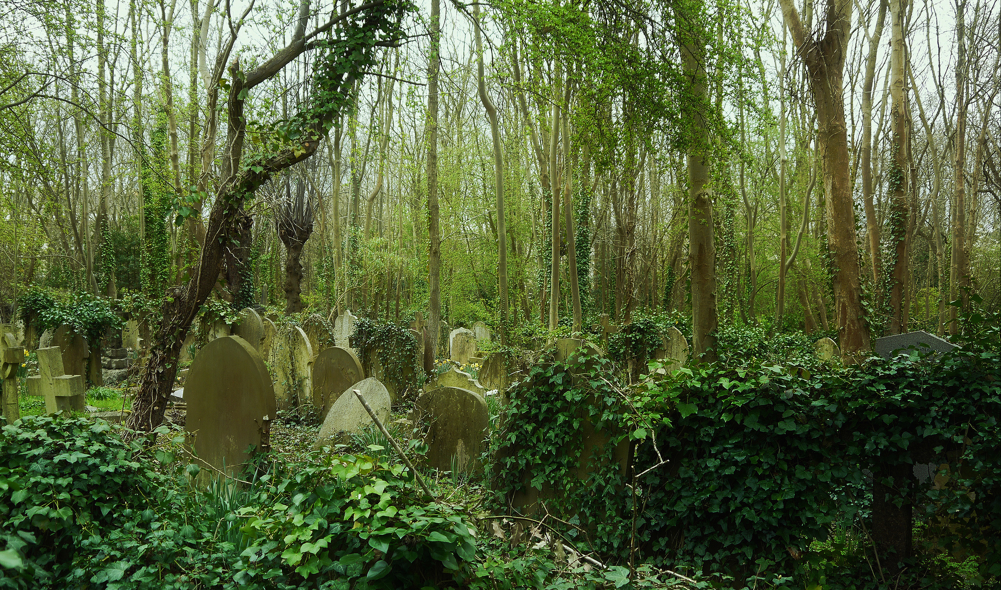 london cemeteries to visit