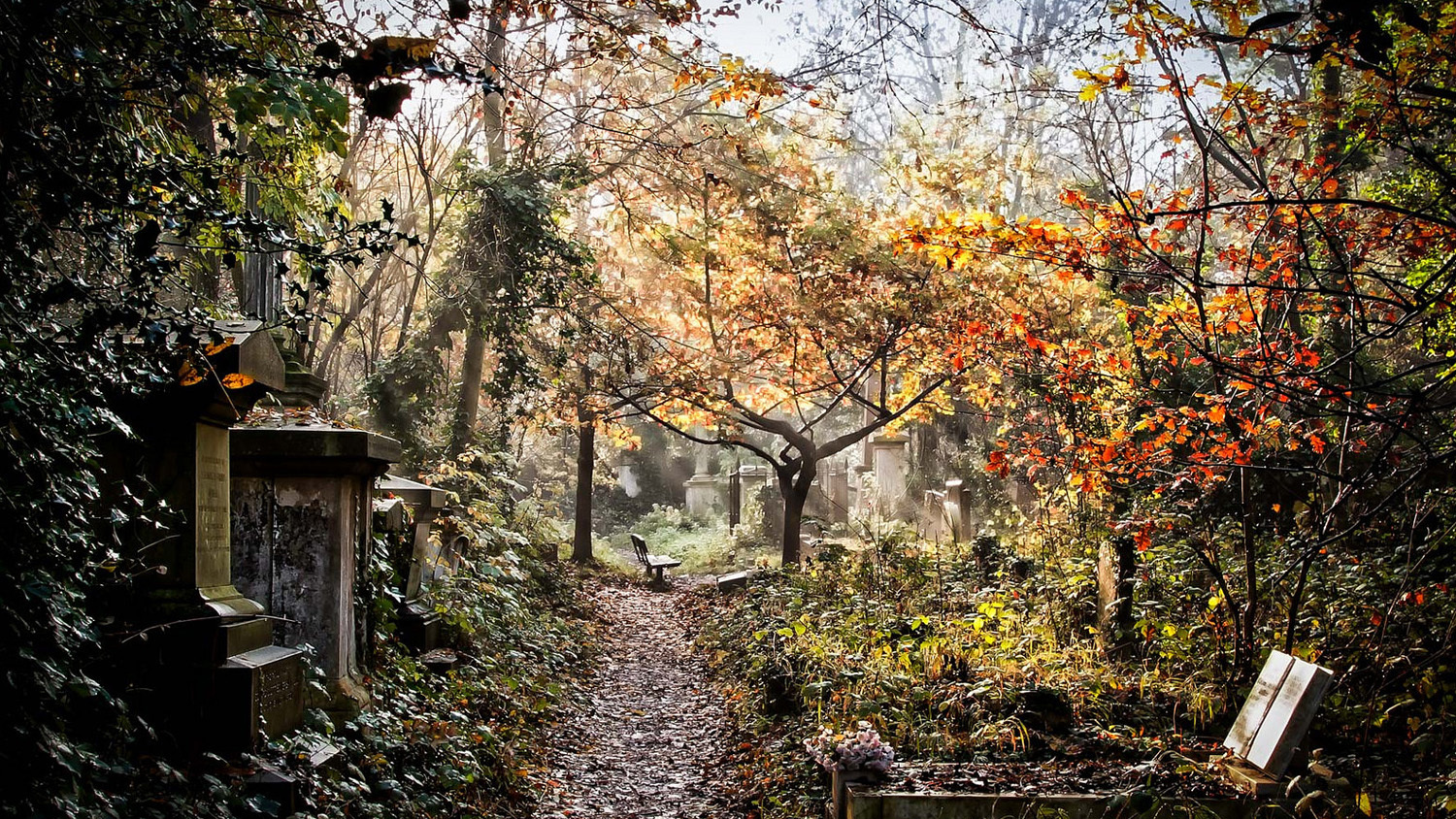 In pictures: the magnificent cemeteries of London
