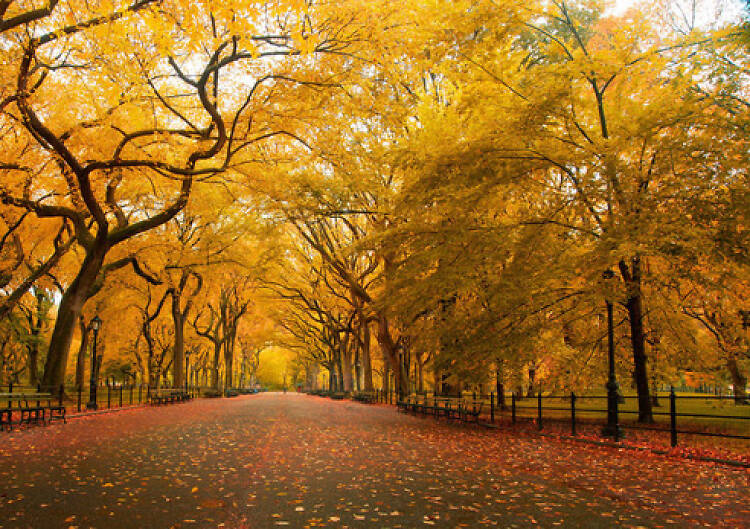 10 gorgeous photos of Central Park in the fall