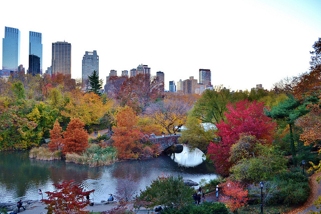 10 gorgeous photos of Central Park in the fall