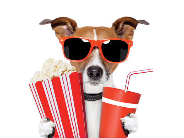 Watch a Sri Lankan movie Watch a Sri Lankan movie