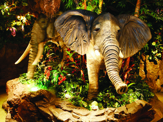 Rainforest Cafe  Restaurants in Piccadilly Circus, London