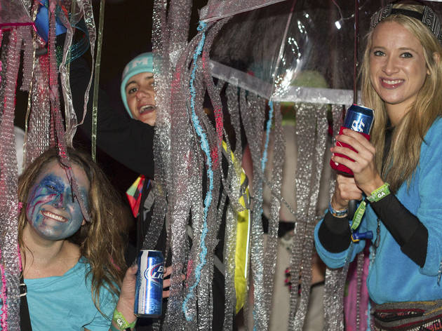 Electronic music fans showed up in costume at the 2015 Freaky Deaky Halloween festival in Toyota Park.