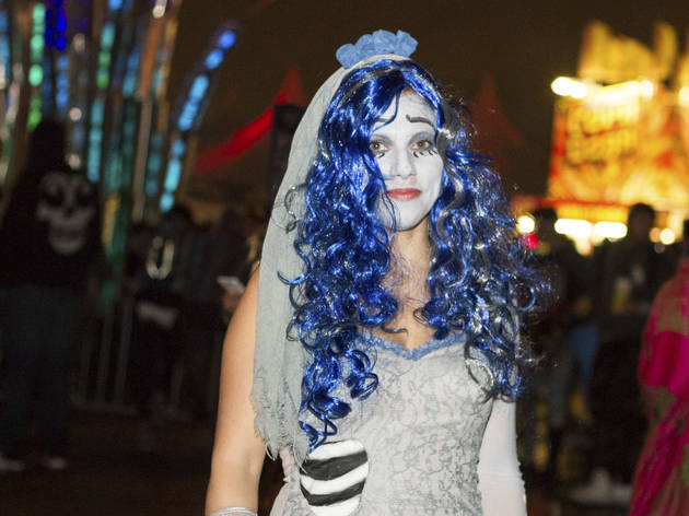 Electronic music fans showed up in costume at the 2015 Freaky Deaky Halloween festival in Toyota Park.