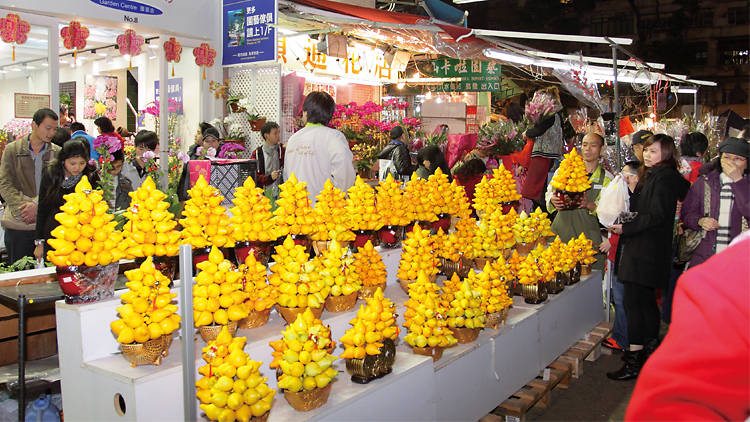 Flower Market