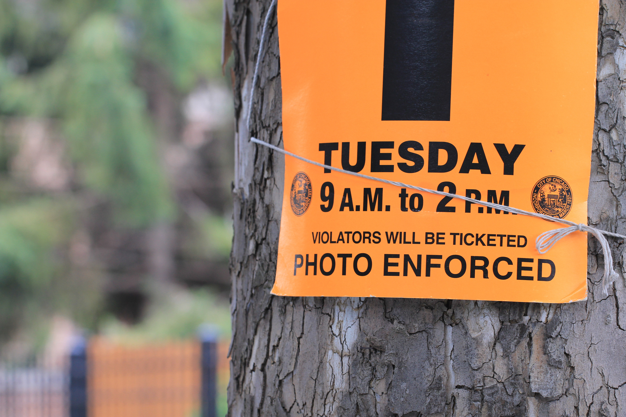 how-to-get-out-of-a-ticket-in-chicago