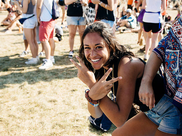 Lollapalooza Lollapalooza