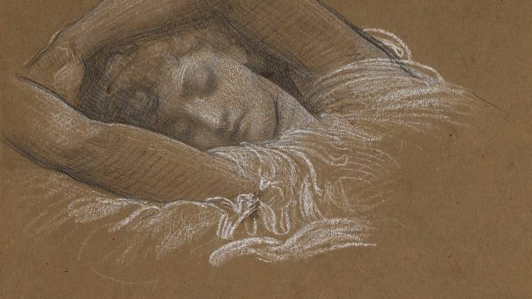 Pre-Raphaelites on Paper: Victorian Drawings from the Lanigan Collection