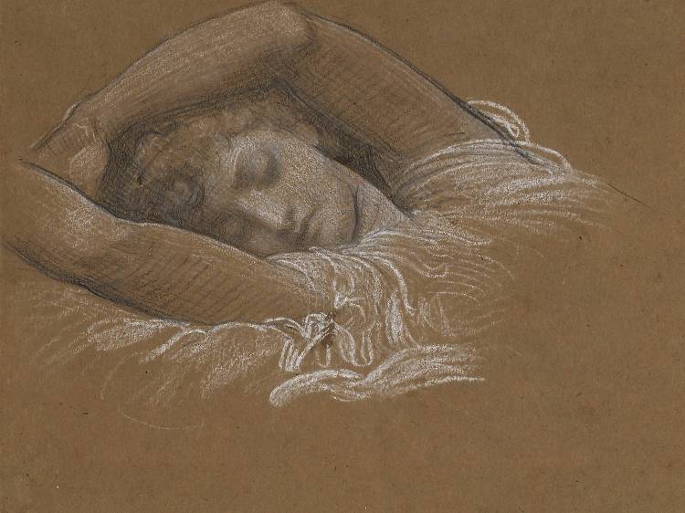 Pre-Raphaelites on Paper: Victorian Drawings from the Lanigan Collection