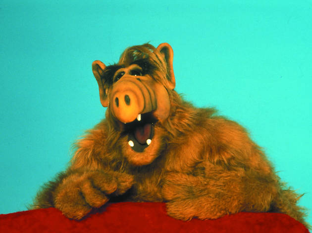 Alf Alf