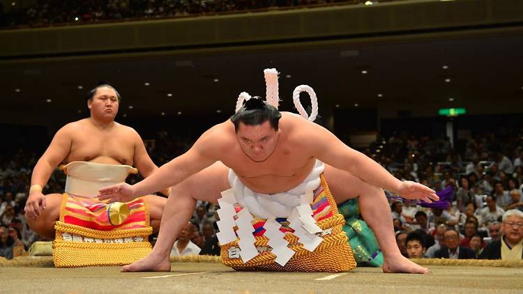 Sumo Wrestling