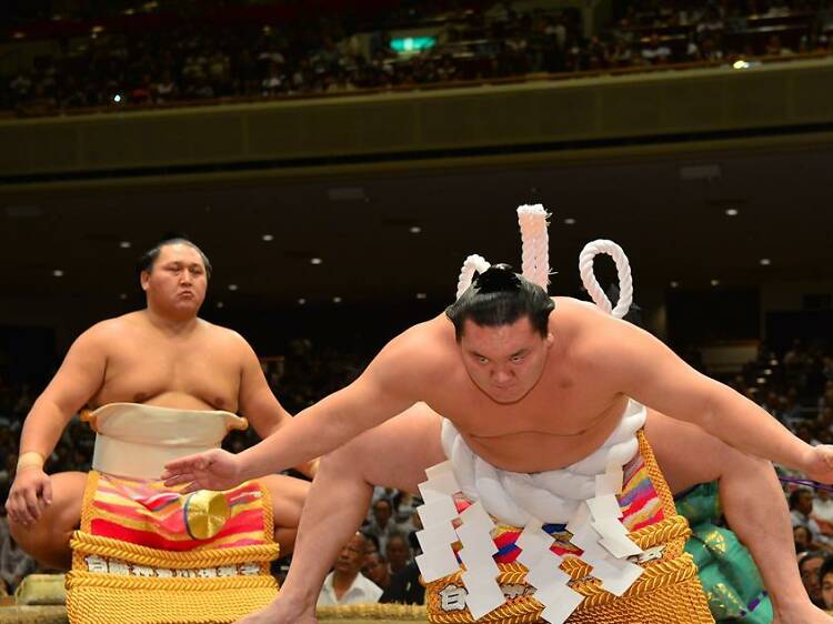 Sumo Wrestling