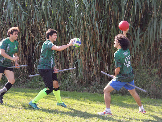 Quidditch Harry Potter Quidditch Harry Potter