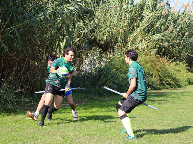 Quidditch Harry Potter Quidditch Harry Potter