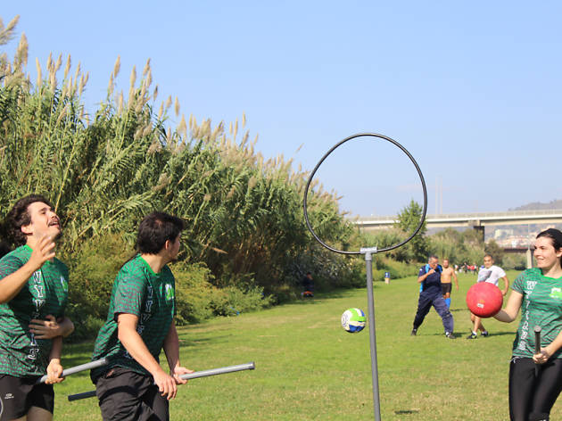 Quidditch Harry Potter Quidditch Harry Potter
