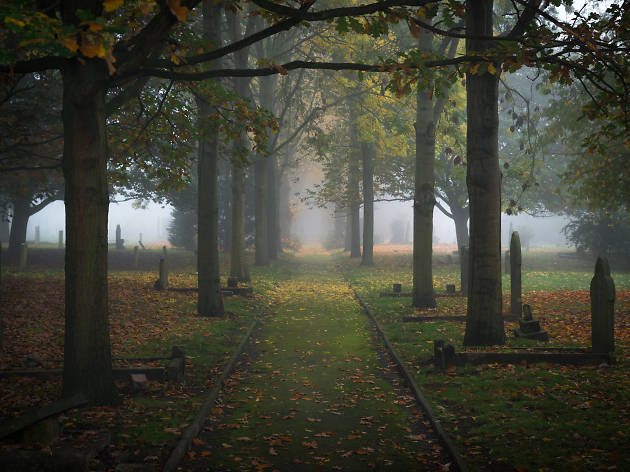 Mist around gravestones at Fulham Cemetery Mist around gravestones at Fulham Cemetery
