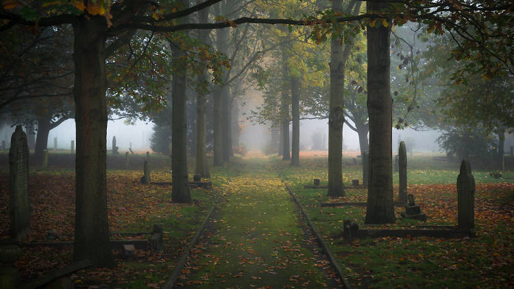 Mist around gravestones at Fulham Cemetery
