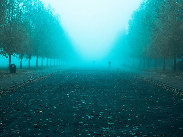 A foggy day in Finsbury Park, London. A foggy day in Finsbury Park, London.