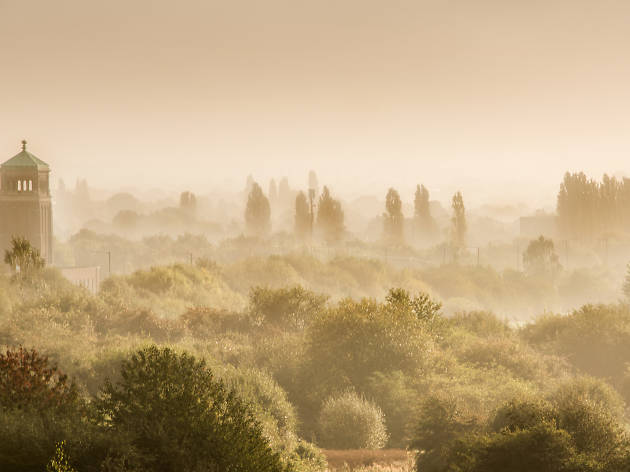 A misty morning at Northold, an outer London suburb. A misty morning at Northold, an outer London suburb.