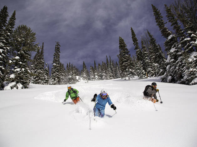 Jackson Hole Jackson Hole