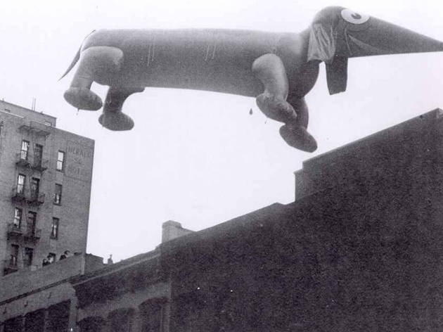 Dachshund, 1929