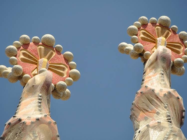 'Floripondios' de la Sagrada Família