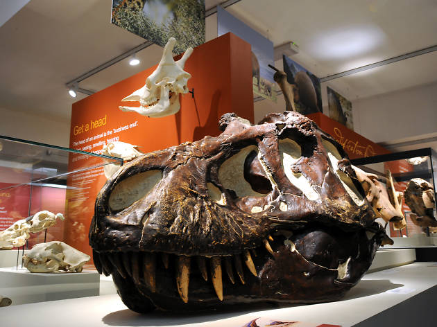 Ulster Museum Ulster Museum