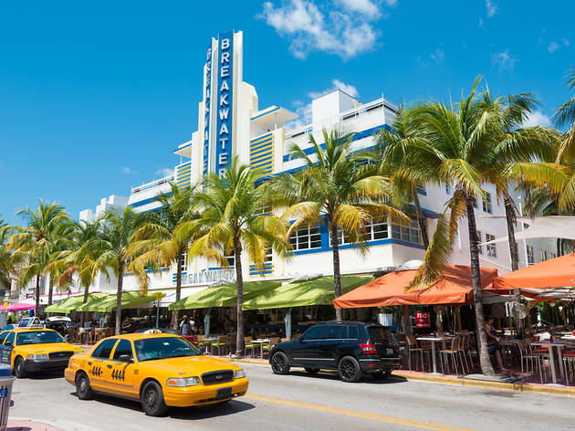 Things to do in and around Miami | Time Out Miami